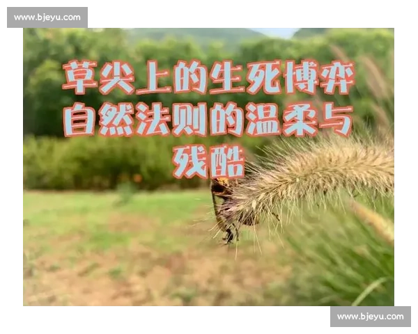 赤手凡人对决猛虎生死博弈的人性勇气与自然法则冲突与边界启示